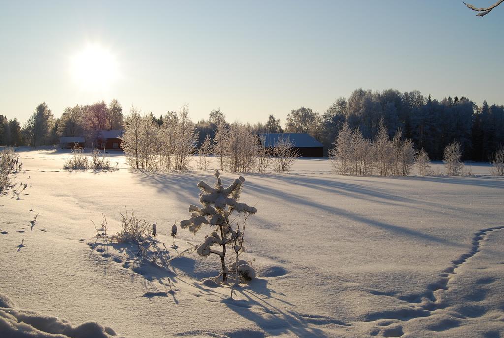Hamgarden Nature Resort Tiveden 部屋 写真